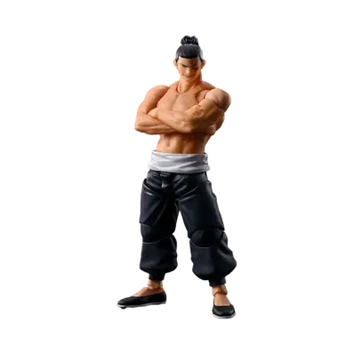 S.H.Figuarts Aoi Todo