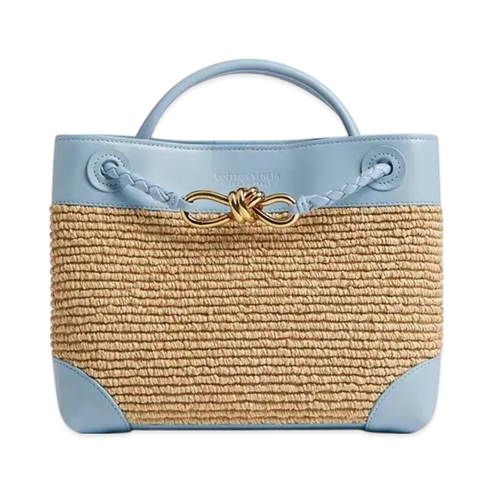 Bottega Veneta Small Andiamo "Ice/Natural"