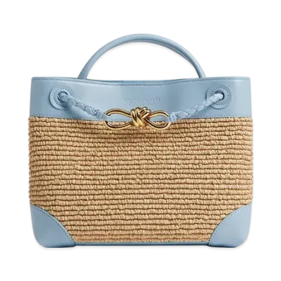Bottega Veneta Small Andiamo "Ice/Natural"