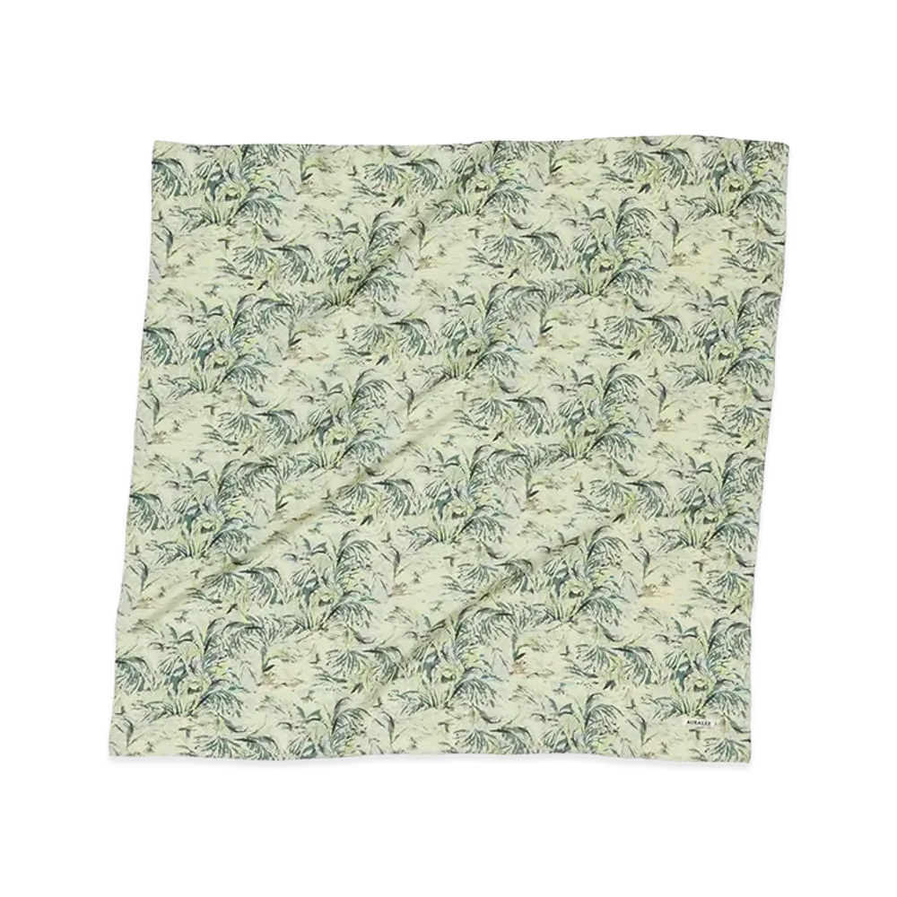 AURALEE Printed Airy Silk Scarf - Large "Pale Green"