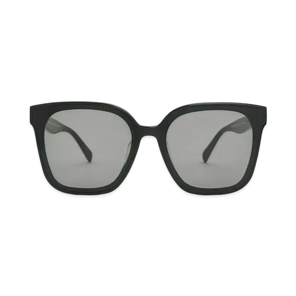 CHARLES & KEITH Gavine Oversized Butterfly Sunglasses "Black"
