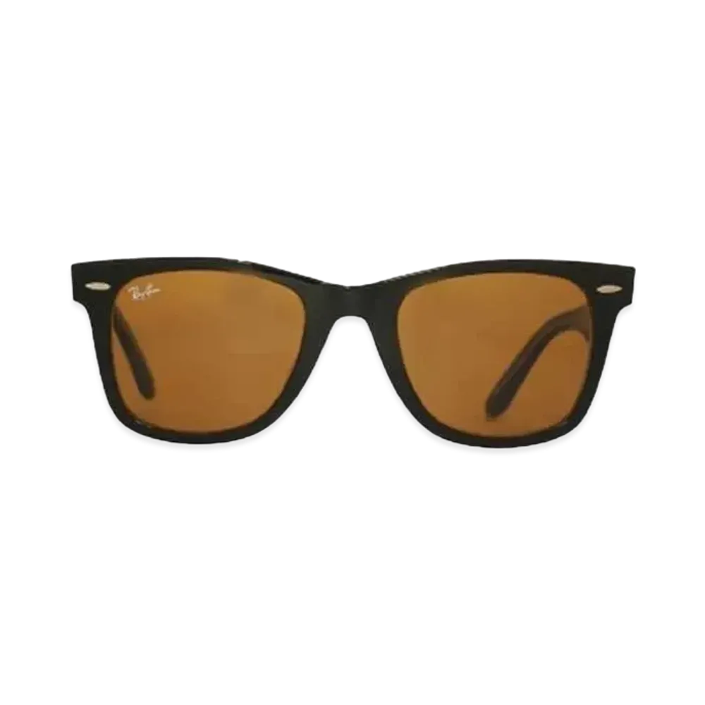 Ray-Ban WAYFARER "BLACK x BROWN"
