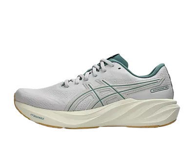 Asics GT-2000 15 "Cloud Grey/Birch"