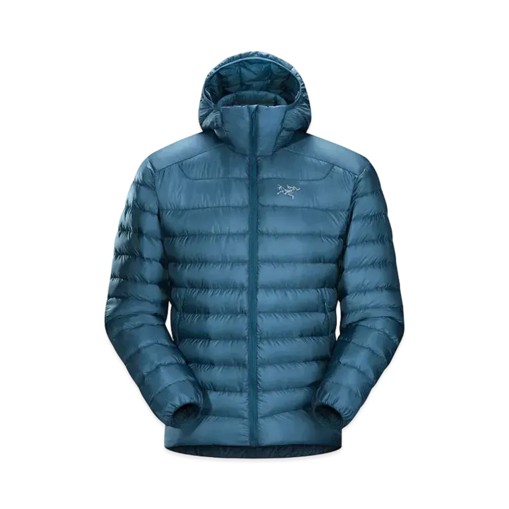 ARC TERYX CERIUM LT HOODIE "Forcefield"