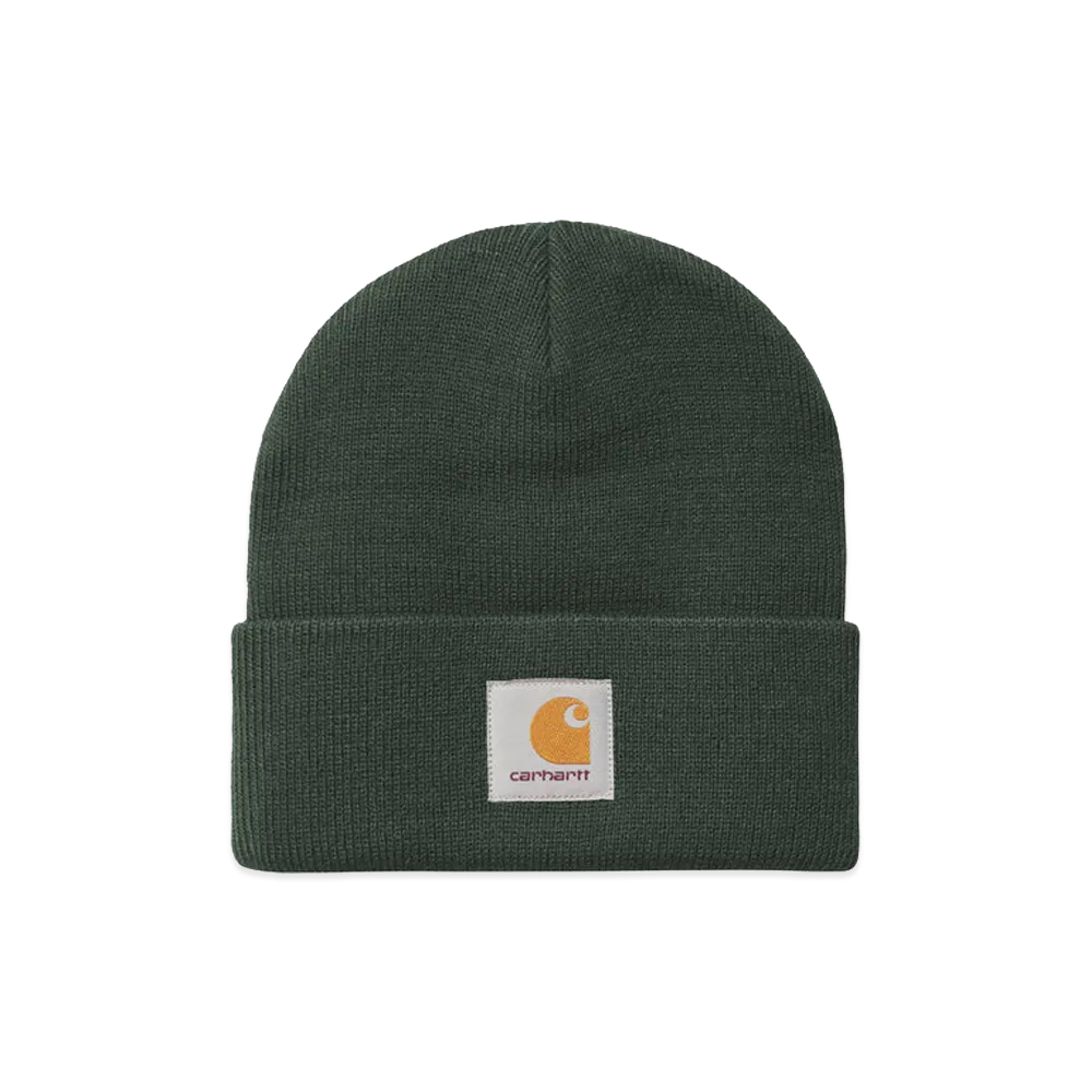 Carhartt WIP Short Watch Hat "Dark Scarab"