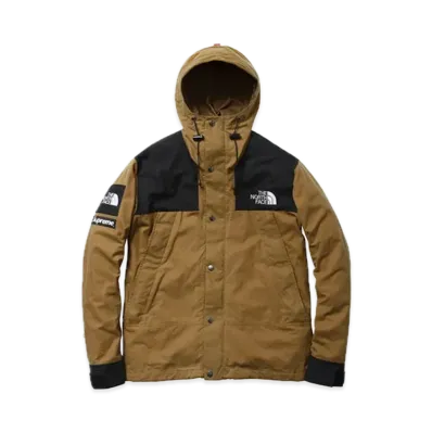 Supreme x The North Face 2010FW Mountain Jacket "Duck Brown"