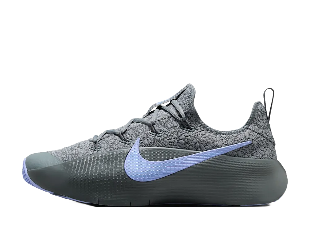 Nike LeBron TR1 "Cool Grey/Aluminum"