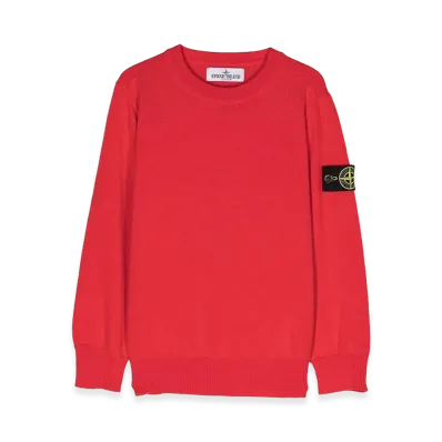 Stone Island Kids Crewneck "Gray"