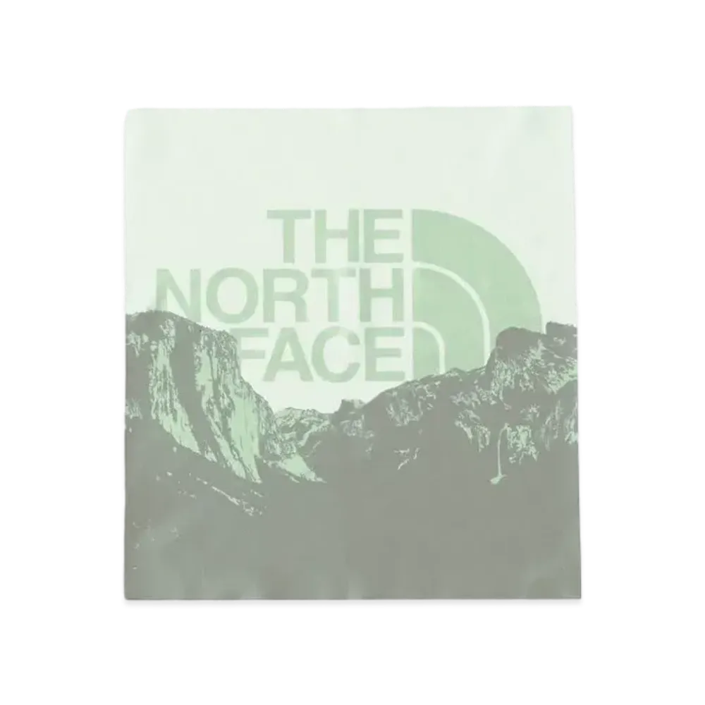 The North Face Gypsy Cover It Short (Unisex) "Misty Sage Photo"