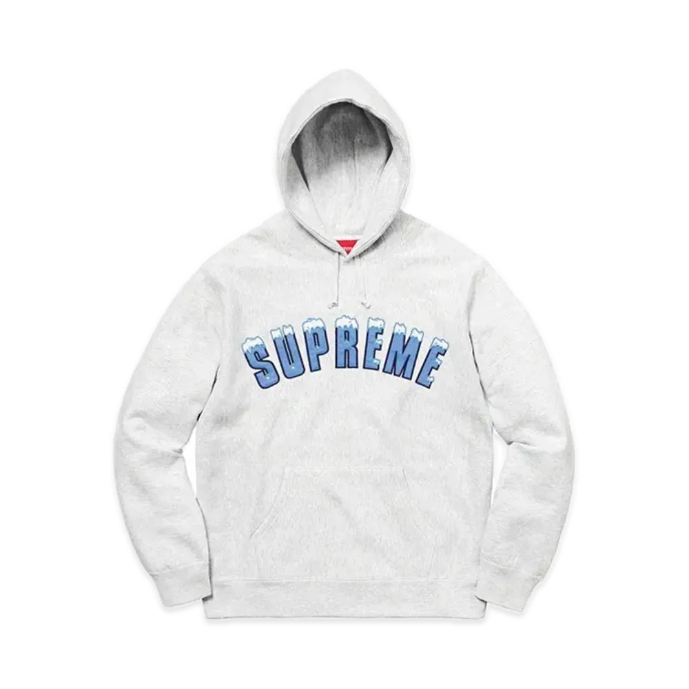 Supreme Icy Arc Hooded Sweatshirt "Ash Grey"