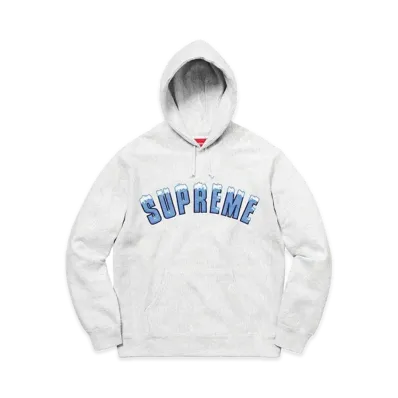 Supreme Icy Arc Hooded Sweatshirt "Ash Grey"