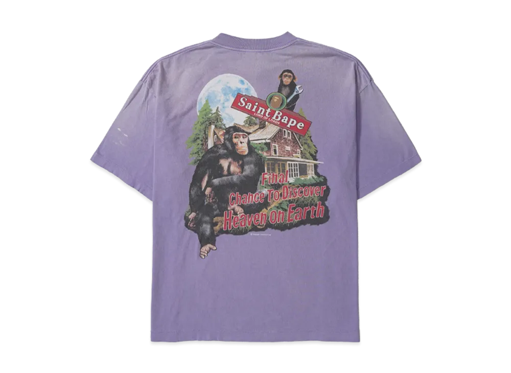 SAINT Mxxxxxx x A BATHING APE Bape SS T-Shirt/House 