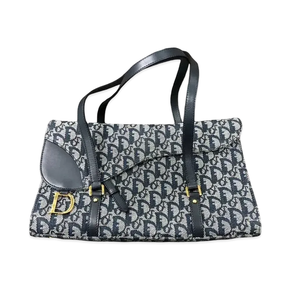 Dior Trotter Hand Bag