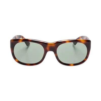 Saint Laurent Women's Eyewear "Brown"