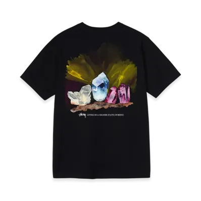 Stussy Higher State Tee "Black"
