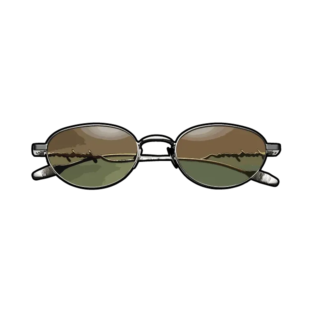 Supreme Capital Sunglasses "Silver"
