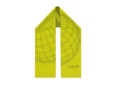 Aime Leon Dore x New Balance Geo Print Wool Scarf "Green"