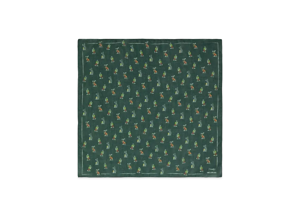 Aime Leon Dore x Drake's Graphic Bandana "Green"