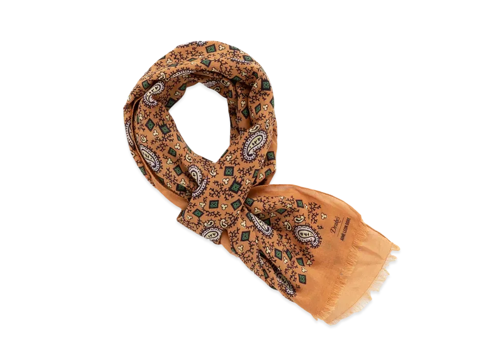 Aime Leon Dore x Drake's Archival Graphic Scarf "Multi"