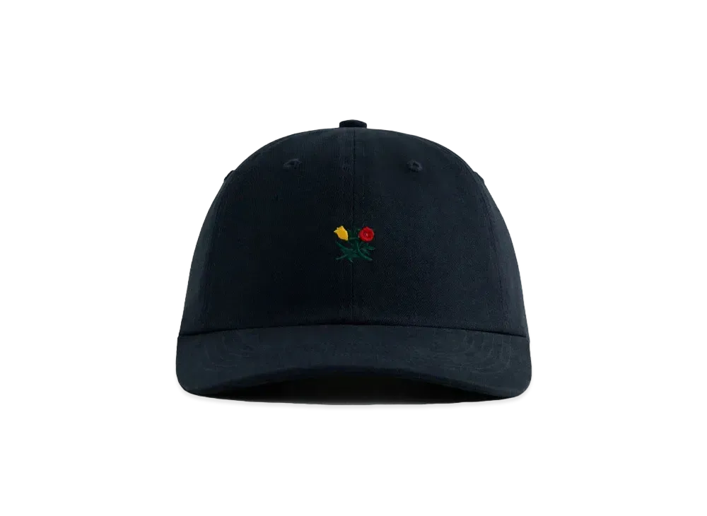 Aime Leon Dore Brushed Crest Hat "Navy"