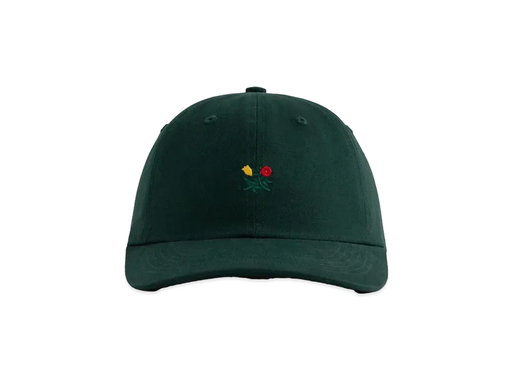 Aime Leon Dore Brushed Crest Hat "Green"