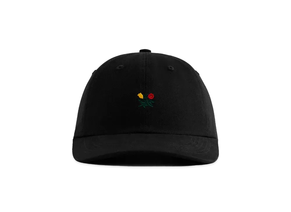 Aime Leon Dore Brushed Crest Hat "Black"