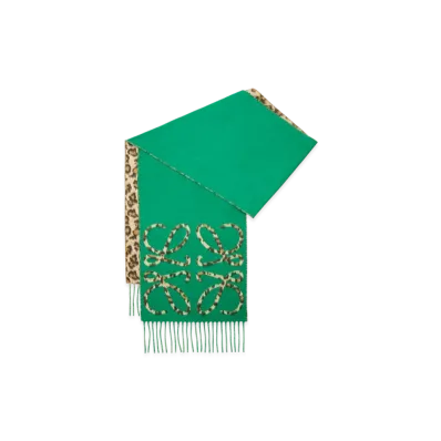 LOEWE Anagram Scarf "Green/Multicolor"