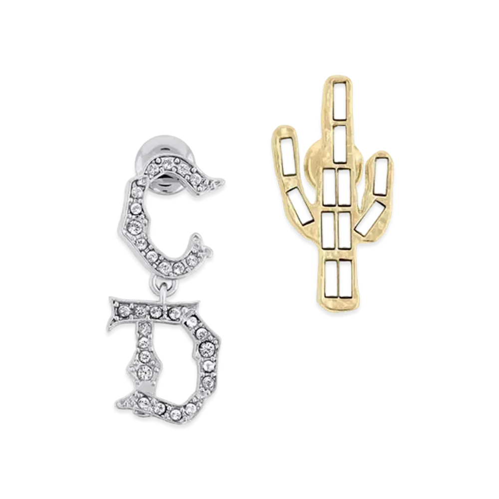 Dior x Cactus Jack Earrings "Silver/Gold"
