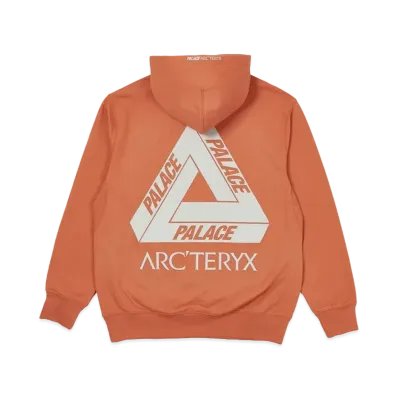 PALACE / Arc'Teryx Alpha Hood "Ochre" P19ARXHD004