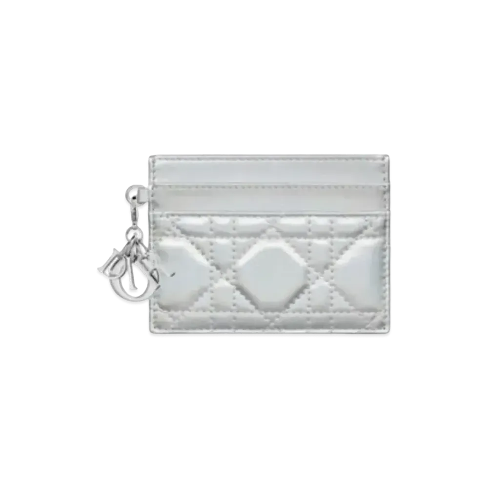 Dior 5 Room Card Holder "Metallic Silver"
