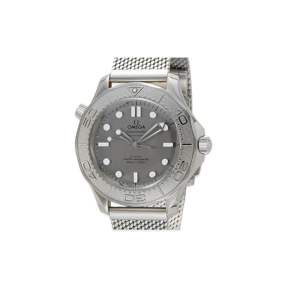 OMEGA Watch "Silver"