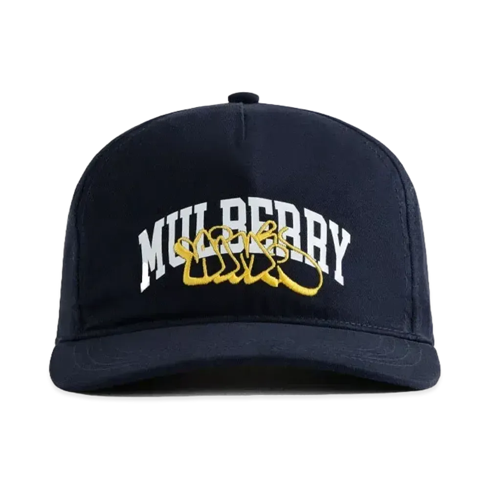 Aime Leon Dore Mulberry Throwie Hat "Navy"