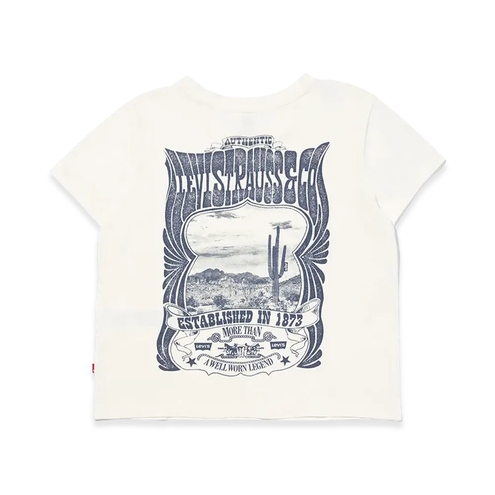 Levi's Graphic Box Silhouette T-Shirt "White"