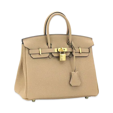 Hermes Women's Birkin 25cm Togo Handbag "Chai"