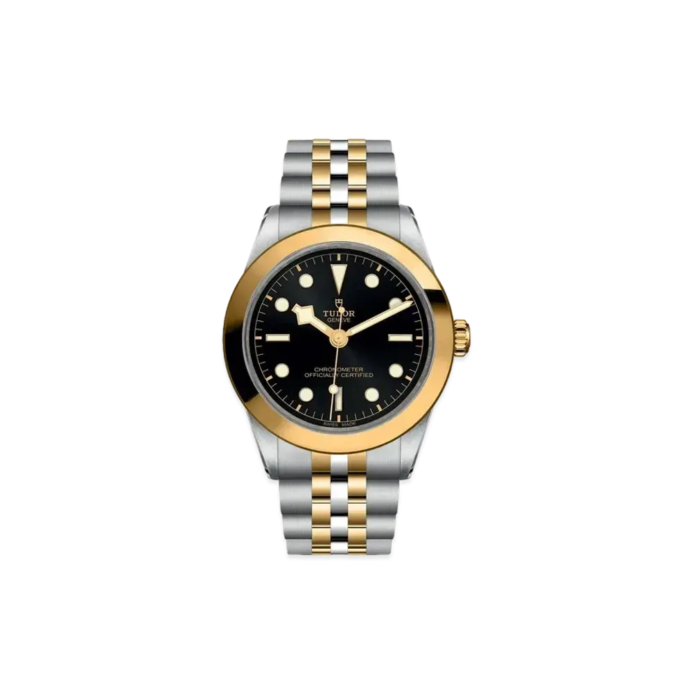 TUDOR BLACK BAY 39 S&G