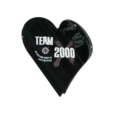 PRO WRESTLING NOAH 25th ANNIV \ ぱくちーひとみ TEAM 2000X HAIR CLIP "MULTI"