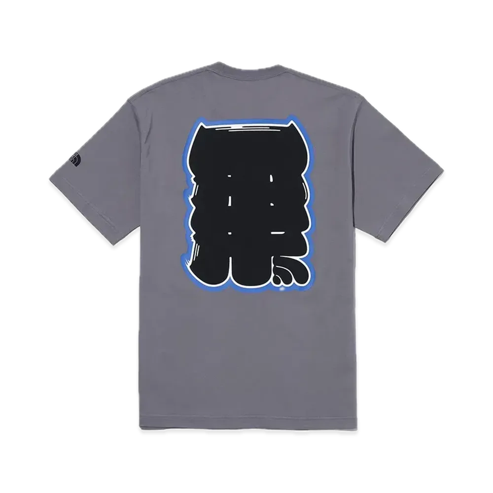 The North Face Japan Special Make Up Products S/S TNF Graphic Tee "Grey"