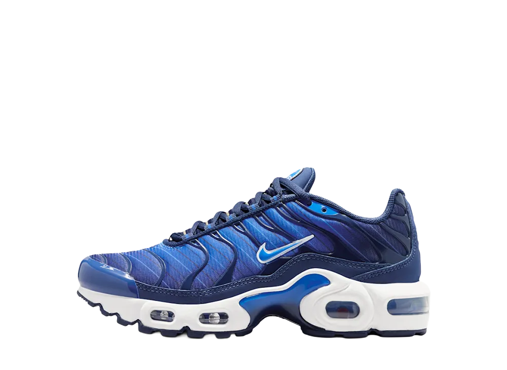 Nike GS Air Max Plus SE "Lyon Blue/Midnight Navy/White"