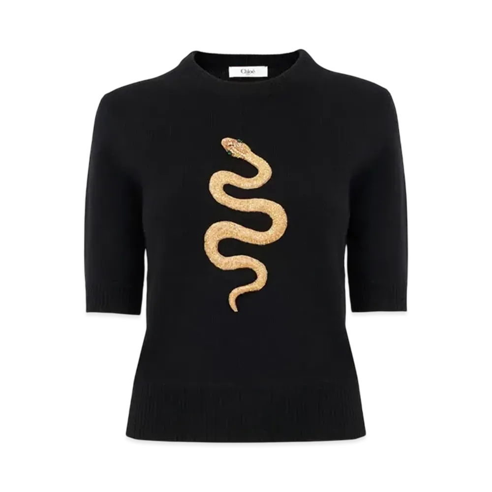 Chloe Embroidered Short-Sleeve Sweater In Wool and Cashmere Knit "Black"
