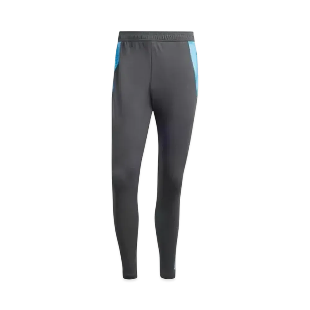 adidas Argentina National Team Tiro 24 Competition Training Pants "Carbon"