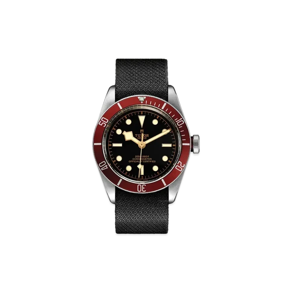 TUDOR BLACK BAY