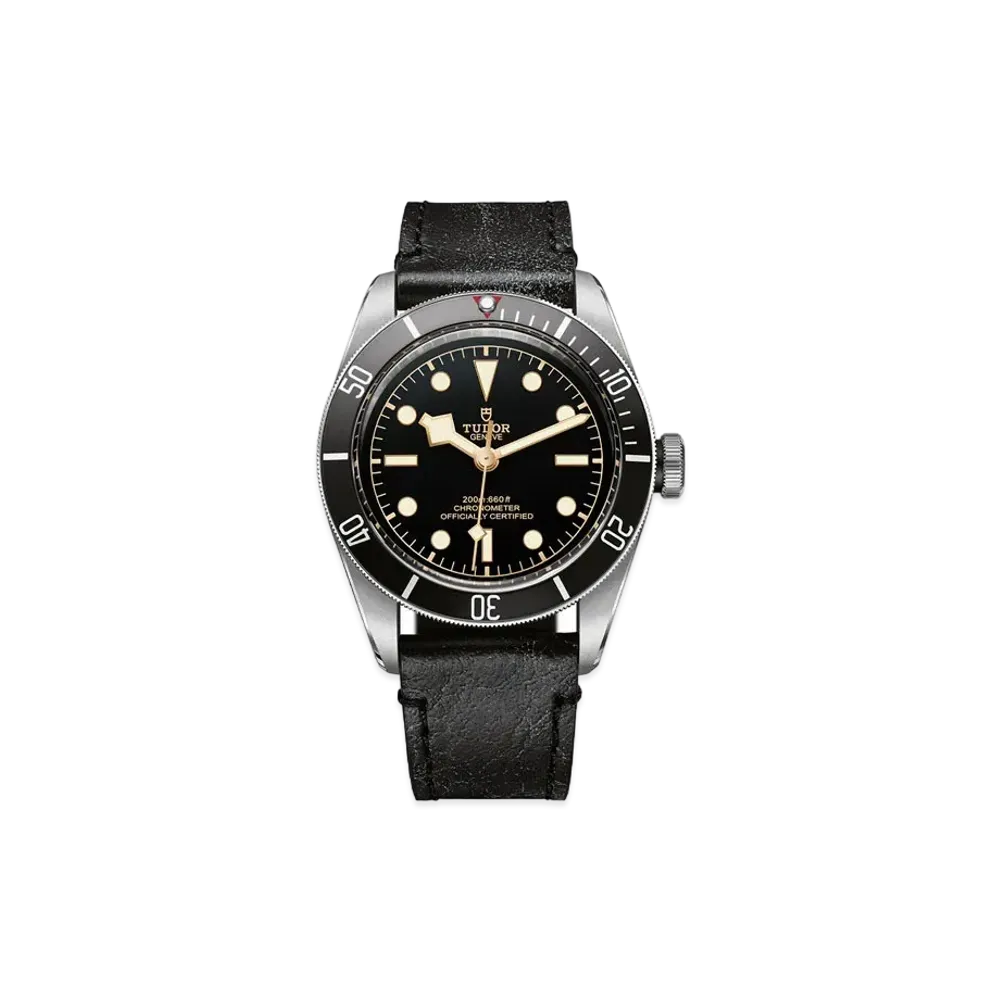 TUDOR BLACK BAY