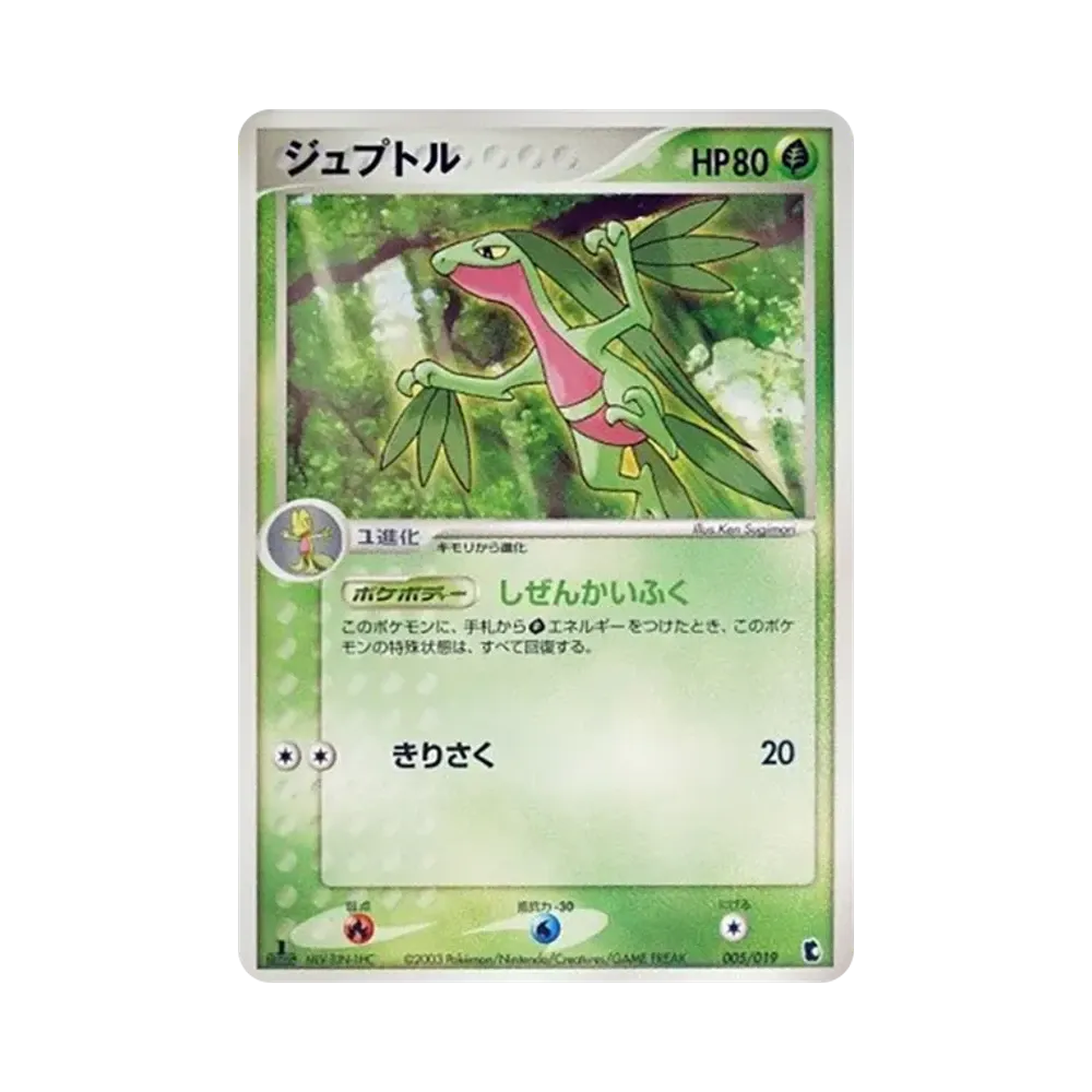 森林蜥蜴