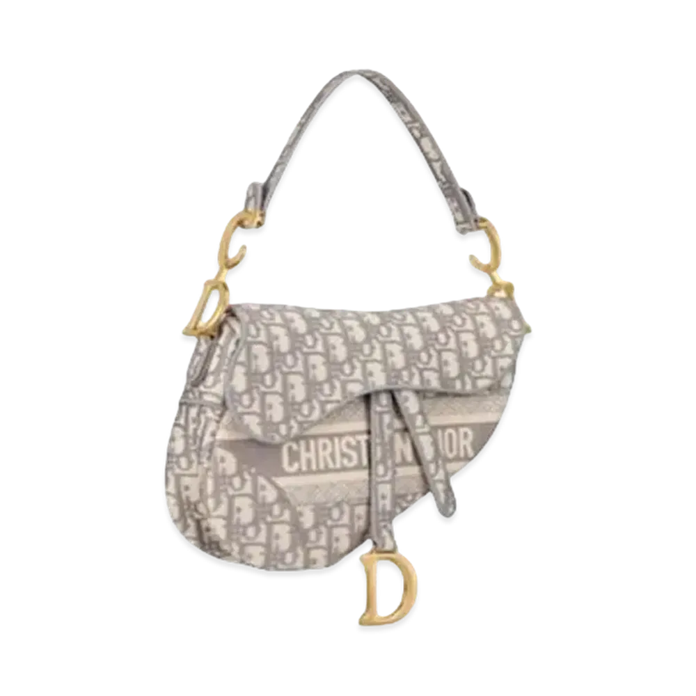 Dior Saddle Bag "Gray"