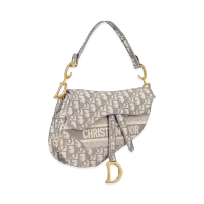 Dior Saddle Bag "Gray"