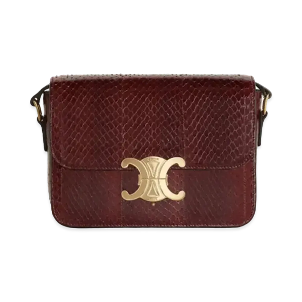 CELINE Teen Triomphe Bag in Whips "Brown"