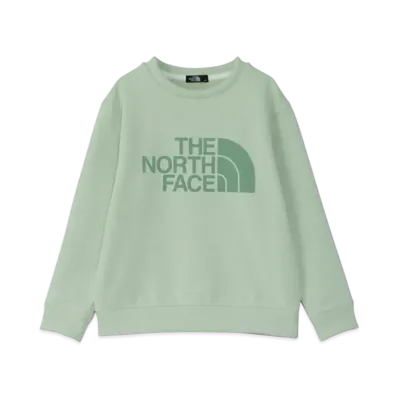 The North Face Kids Colorize Sweat Crew "Misty Sage"