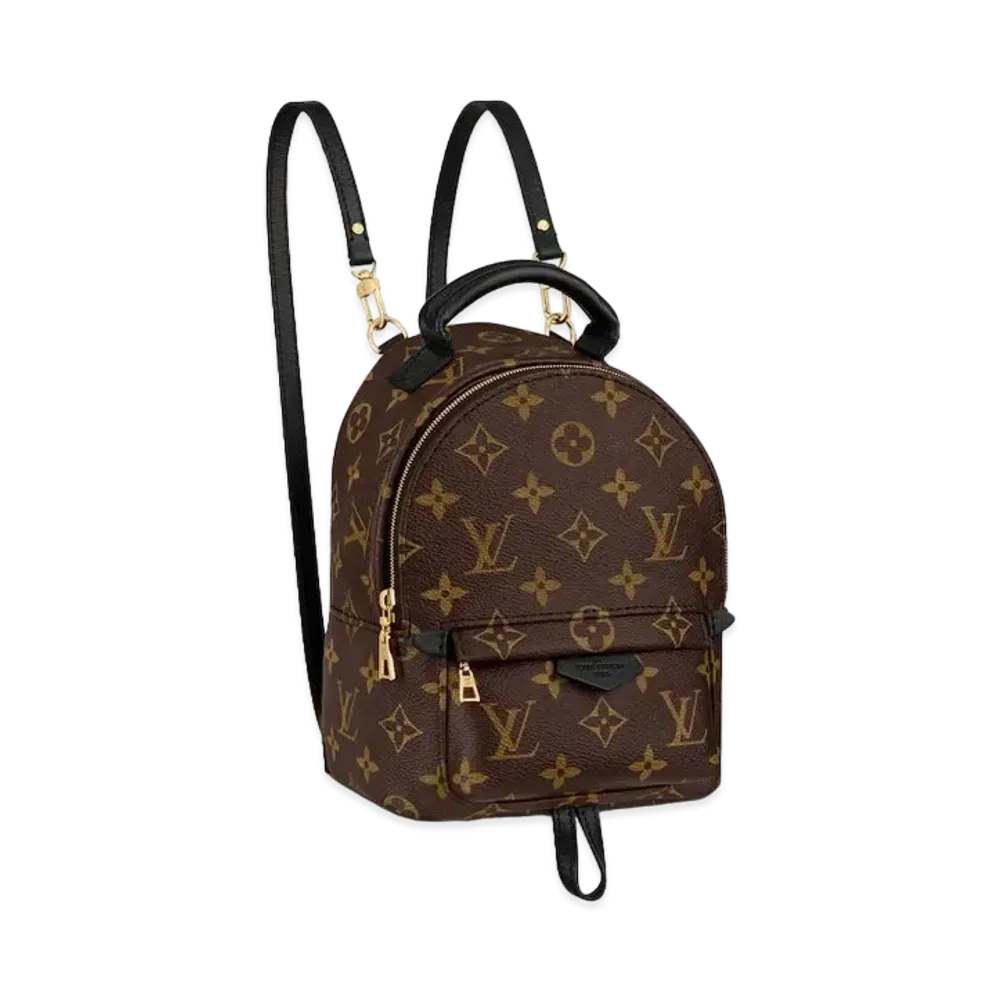 Louis Vuitton Palm Springs Mini Monogram