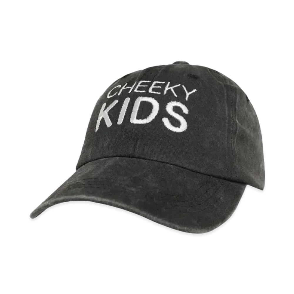 AUI NITE CK baseball cap "GRAY"