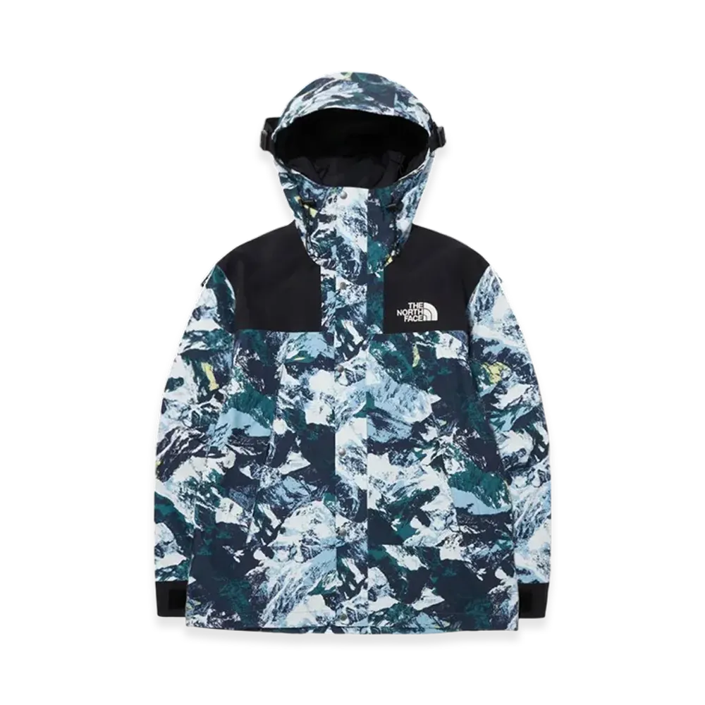 The North Face Novelty GTX Mountain Jacket "Cloud"